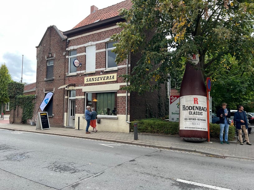 Verlichting Sanseveria