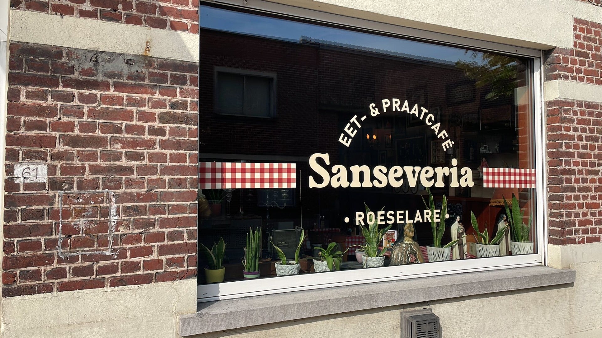 Interieur Sanseveria Roeselare