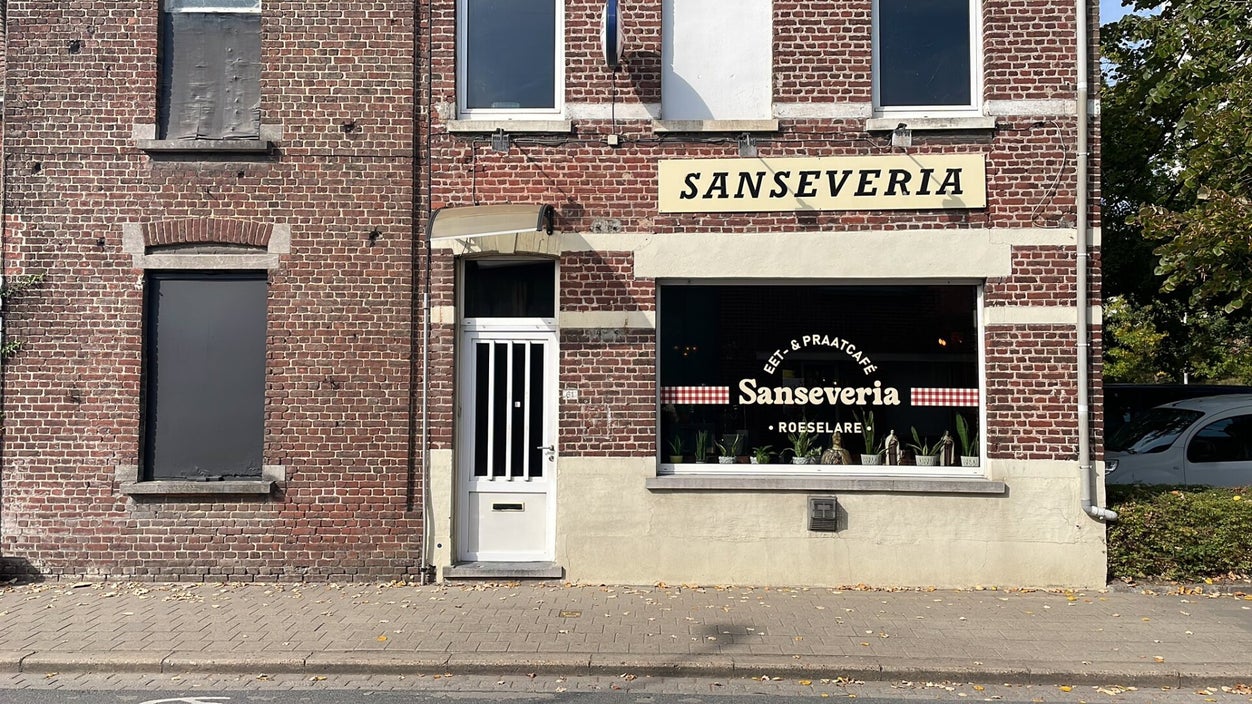 Interieur sfeer Sanseveria Roeselare